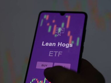 Ekrandaki yağsız domuzları analiz eden bir yatırımcı. Lean Hogs 'un fiyatlarını gösteren bir telefon.