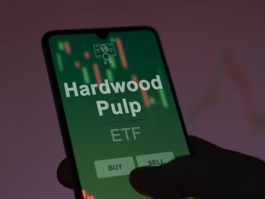Bir yatırımcı ekrandaki ahşap hamurlu etf fonunu analiz ediyor. Hardwood Pulp 'un fiyatlarını gösteren bir telefon.