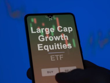 Ekrandaki büyük sermaye büyümesini analiz eden bir yatırımcı. Bir telefon Büyük Cap Büyüme Özelliklerinin fiyatlarını gösterir