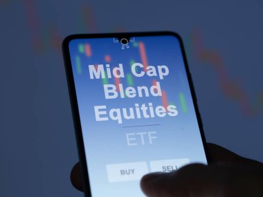 Bir yatırımcı, ekranda sermaye karışımını analiz ediyor. Mid Cap Harmanlama Özelliklerinin fiyatlarını gösteren bir telefon