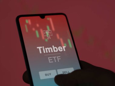 Ekrandaki kereste fonunu analiz eden bir yatırımcı. Bir telefon kereste fiyatlarını gösterir