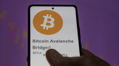 20 Nisan 2024, Şangay, Çin. Bitcoin Avalanche Brided 'in logosunu (BTC.b) bir takas ekranında kapatın. (BTC b) Bitcoin Çığ Köprüsü fiyat hisseleri, bir aygıt üzerinde $BTC.b.