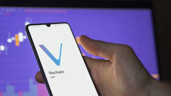Close Logo Vet Vechain Screen Exchange Vet Vechain Price Stocks — Stock Photo, Image