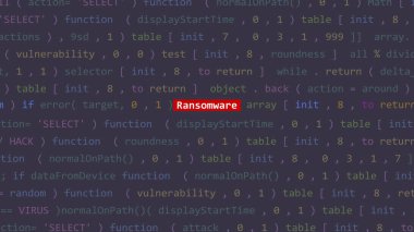 Vue 'nun kod editörü stüdyo noktasında siber saldırı fidye yazılımı var. İncinebilirlik metni ikili sistem ascii içinde. İngilizce metin, İngilizce metin