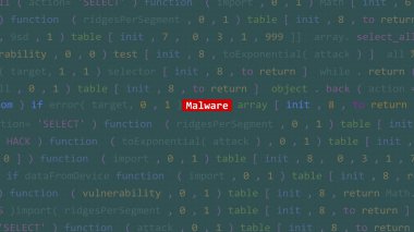 Vue 'nun kod düzenleyicisi stüdyo noktasındaki siber saldırı kötü amaçlı yazılım. İncinebilirlik metni ikili sistem ascii içinde. İngilizce metin, İngilizce metin