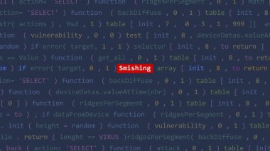Vue 'nun kod düzenleyicisi stüdyo noktasında siber saldırı yok edici metin. İncinebilirlik metni ikili sistem ascii içinde. İngilizce metin, İngilizce metin