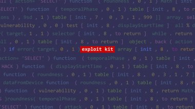 Siber saldırı, Vue 'nun kod editörü stüdyo noktasının ön planındaki yazıyı sömürüyor. İncinebilirlik metni ikili sistem ascii içinde. İngilizce metin, İngilizce metin