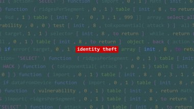 Siber saldırı kimlik hırsızlığı metni Vue 'daki kod editörü stüdyo noktasında. İncinebilirlik metni ikili sistem ascii içinde. İngilizce metin, İngilizce metin