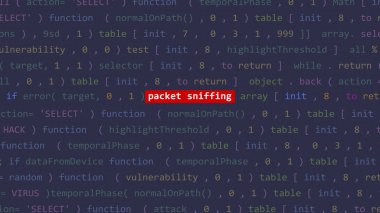 Vue 'nun kod düzenleyicisi stüdyo noktasında siber saldırı paketi koklama metni. İncinebilirlik metni ikili sistem ascii içinde. İngilizce metin, İngilizce metin