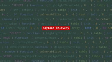 Vue 'nun kod editörü stüdyo noktasında siber saldırı kargo iletim metni. İncinebilirlik metni ikili sistem ascii içinde. İngilizce metin, İngilizce metin