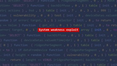 Siber saldırı sistemi zayıflığı, Vue 'nun ön plandaki kod düzenleyicisi stüdyo noktasında metni sömürüyor. İncinebilirlik metni ikili sistem ascii içinde. İngilizce metin, İngilizce metin