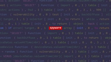 Vue 'nun kod düzenleyicisi stüdyo noktasının ön planındaki sanal saldırı yazılımı metni. İncinebilirlik metni ikili sistem ascii içinde. İngilizce metin, İngilizce metin