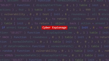 Siber saldırı siber casusluk metni Vue 'nun kod editörü stüdyo noktasının ön ekranında. İncinebilirlik metni ikili sistem ascii içinde. İngilizce metin, İngilizce metin
