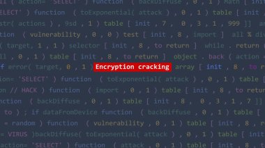 Vue 'nun kod düzenleyicisi stüdyo noktasındaki siber saldırı şifreleme metni. İncinebilirlik metni ikili sistem ascii içinde. İngilizce metin, İngilizce metin