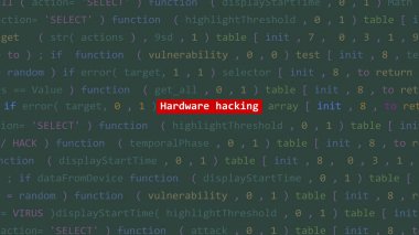 Vue 'nun kod editörü stüdyo noktasındaki siber saldırı donanım hack metni. İncinebilirlik metni ikili sistem ascii içinde. İngilizce metin, İngilizce metin