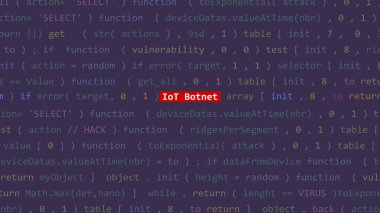 Siber saldırı, Vue 'nun kod düzenleyicisi stüdyo noktasındaki ön plandaki botnet metin. İncinebilirlik metni ikili sistem ascii içinde. İngilizce metin, İngilizce metin