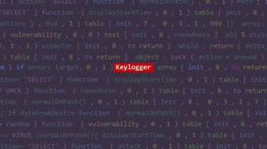 Vue 'nun kod düzenleyicisi stüdyo noktasının ön planında sanal saldırı tuş kaydedicisi metni. İncinebilirlik metni ikili sistem ascii içinde. İngilizce metin, İngilizce metin