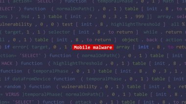Vue 'nun kod düzenleyicisi stüdyo noktasında siber saldırı mobil yazılım. İncinebilirlik metni ikili sistem ascii içinde. İngilizce metin, İngilizce metin