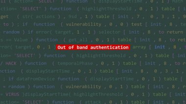Grubun kimlik doğrulama metninden çıkan siber saldırı Vue 'nun kod editörü stüdyo noktasının ön ekran ekranında. İncinebilirlik metni ikili sistem ascii içinde. İngilizce metin, İngilizce metin