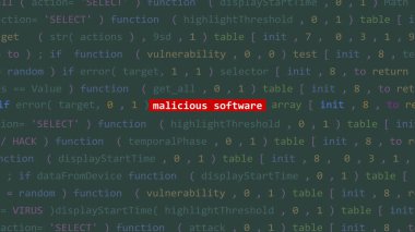 Vue 'nun kod düzenleyicisi stüdyo noktasında kötü niyetli yazılım metni var. İncinebilirlik metni ikili sistem ascii içinde. İngilizce metin, İngilizce metin