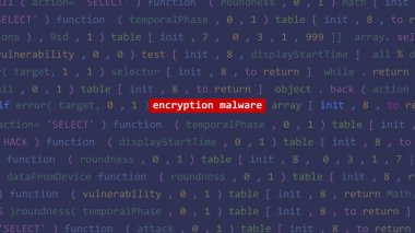 Vue 'nun kod düzenleyicisi stüdyo noktasında siber saldırı şifreleme yazılımı var. İncinebilirlik metni ikili sistem ascii içinde. İngilizce metin, İngilizce metin