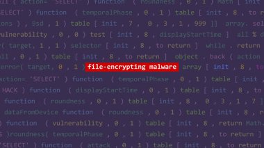 Vue 'nun kod düzenleyicisi stüdyo noktasında siber saldırı dosyası şifreleme yazılımı. İncinebilirlik metni ikili sistem ascii içinde. İngilizce metin, İngilizce metin