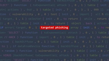 Siber saldırı, Vue 'nun kod editörü stüdyo noktasında sahte metni hedef aldı. İncinebilirlik metni ikili sistem ascii içinde. İngilizce metin, İngilizce metin