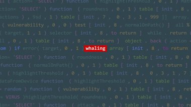 Vue 'nun kod editörü stüdyo noktasında siber saldırı balina avı metni. İncinebilirlik metni ikili sistem ascii içinde. İngilizce metin, İngilizce metin