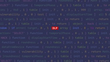 Sanal saldırı dlp metni Vue 'nun kod düzenleyicisi stüdyo noktasında ön planda. İncinebilirlik metni ikili sistem ascii içinde. İngilizce metin, İngilizce metin