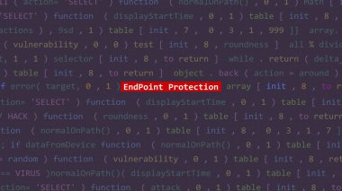 Vue 'nun kod düzenleyicisi stüdyo noktasındaki siber saldırı bitiş noktası koruma metni. İncinebilirlik metni ikili sistem ascii içinde. İngilizce metin, İngilizce metin