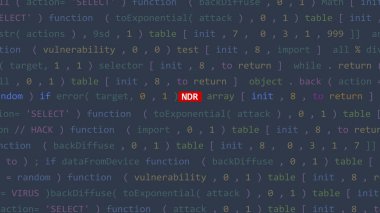 Vue 'nun kod düzenleyicisi stüdyo noktasında siber saldırı ndr metin. İncinebilirlik metni ikili sistem ascii içinde. İngilizce metin, İngilizce metin