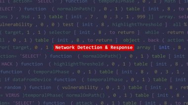 Vue 'nun kod düzenleyicisi stüdyo noktasında siber saldırı ağı algılama ve yanıt metni. İncinebilirlik metni ikili sistem ascii içinde. İngilizce metin, İngilizce metin