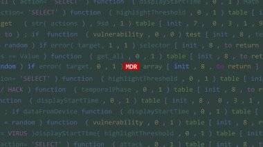 Vue 'nun kod düzenleyicisi stüdyo noktasında Bay Metin' e siber saldırı. İncinebilirlik metni ikili sistem ascii içinde. İngilizce metin, İngilizce metin