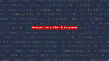 Sanal saldırı, Vue 'nun kod düzenleyicisi stüdyo noktasındaki ön plandaki algılama ve yanıt metnini yönetti. İncinebilirlik metni ikili sistem ascii içinde. İngilizce metin, İngilizce metin
