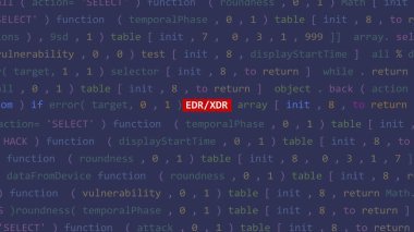 Vue 'nun kod düzenleyicisi stüdyo noktasında siber saldırı edr / xdr metin. İncinebilirlik metni ikili sistem ascii içinde. İngilizce metin, İngilizce metin