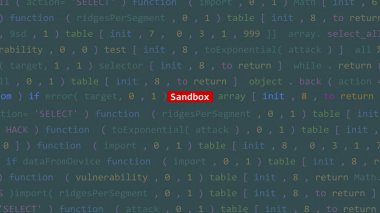 Vue 'nun kod düzenleyicisi stüdyo noktasında siber saldırı kum havuzu metni. İncinebilirlik metni ikili sistem ascii içinde. İngilizce metin, İngilizce metin