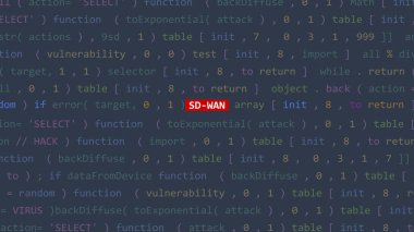 Siber saldırı Sd-wan metni Vue 'nun kod editörü stüdyo noktasında ön planda. İncinebilirlik metni ikili sistem ascii içinde. İngilizce metin, İngilizce metin