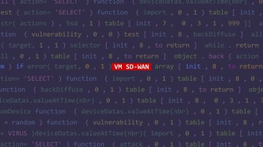 Siber saldırı vm sd-wan metin kod editörü Stüdyo noktası ön ekran Vue. İncinebilirlik metni ikili sistem ascii içinde. İngilizce metin, İngilizce metin