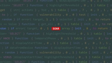 Vue 'nun kod editörü stüdyo noktasında siber saldırı metni ön planda. İncinebilirlik metni ikili sistem ascii içinde. İngilizce metin, İngilizce metin