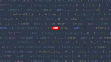 Vue 'nun kod düzenleyicisi stüdyo noktasında siber saldırı utm metni. İncinebilirlik metni ikili sistem ascii içinde. İngilizce metin, İngilizce metin