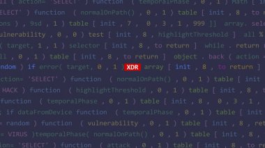 Vue 'nun kod düzenleyicisi stüdyo noktasında xdr metin önplanda. İncinebilirlik metni ikili sistem ascii içinde. İngilizce metin, İngilizce metin