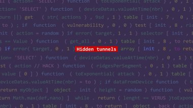 Siber saldırı gizli tüneller Vue 'nun kod düzenleyicisi stüdyo noktasının ön ekran metni. İncinebilirlik metni ikili sistem ascii içinde. İngilizce metin, İngilizce metin