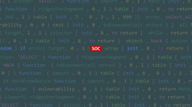 Vue 'nun kod editörü stüdyo noktasında siber saldırı metni var. İncinebilirlik metni ikili sistem ascii içinde. İngilizce metin, İngilizce metin
