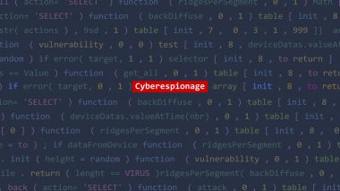 Siber saldırı siber casusluk metni Vue 'nun kod editörü stüdyo noktasının ön ekranında. İncinebilirlik metni ikili sistem ascii içinde. İngilizce metin, İngilizce metin