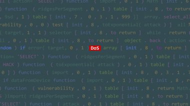 Vue 'nun kod editörü stüdyo noktasının ön planında siber saldırı dos metin. İncinebilirlik metni ikili sistem ascii içinde. İngilizce metin, İngilizce metin