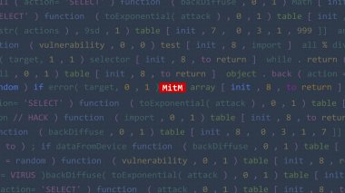 Vue 'nun kod editörü stüdyo noktasının ön planında siber saldırı metni. İncinebilirlik metni ikili sistem ascii içinde. İngilizce metin, İngilizce metin