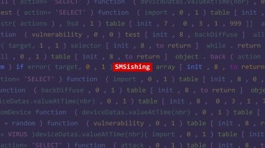 Vue 'nun kod editörü stüdyo noktasında siber saldırı metni ön planda. İncinebilirlik metni ikili sistem ascii içinde. İngilizce metin, İngilizce metin