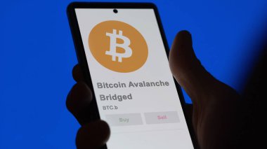 BTC Bitcoin Avalanche Brided 'in logosuna yakın çekim. BTC b Bitcoin Çığ Fiyat borsaları, bir aygıt üzerinde $BTC.b.