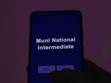 Bir yatırımcı ekranda Muni Ulusal ETF fonunu analiz ediyor. Muni Ulusal Orta dereceli telefon fiyatlarını gösterir