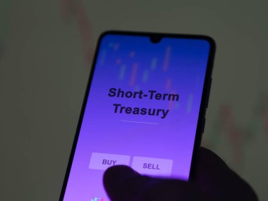 Kısa vadeli hazine fonunu ekranda analiz eden bir yatırımcı. Kısa vadeli Hazine 'nin fiyatlarını gösteren bir telefon